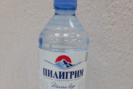 Вода пилигрим негазированная
