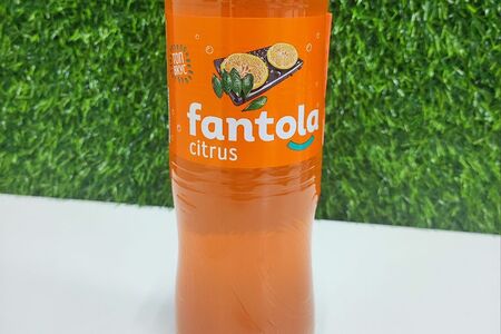 Fantola Цитрус 1 л