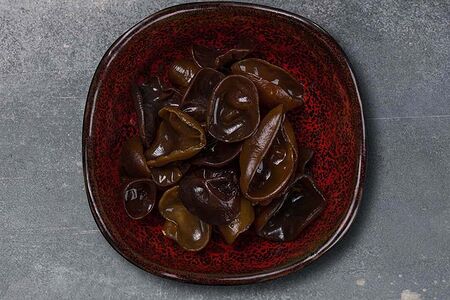 Древесные грибы