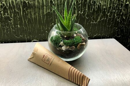 Кулек Пряная смесь