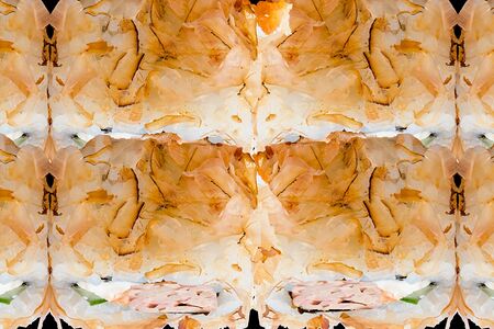 Бонито Лайт