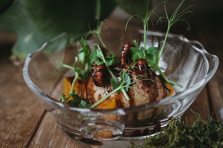 Пате из куриной печени, манго