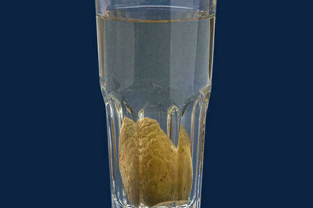 Компот из фейхоа