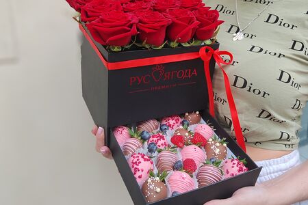 Шкатулка Софи №17